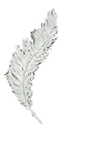 Feather