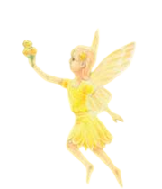 Golder fairy