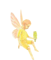 Lucien fairy