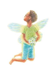 Lark fairy