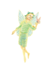 Wren fairy