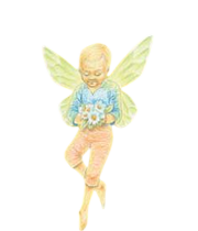 Tristian fairy