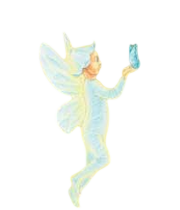 Finch fairy